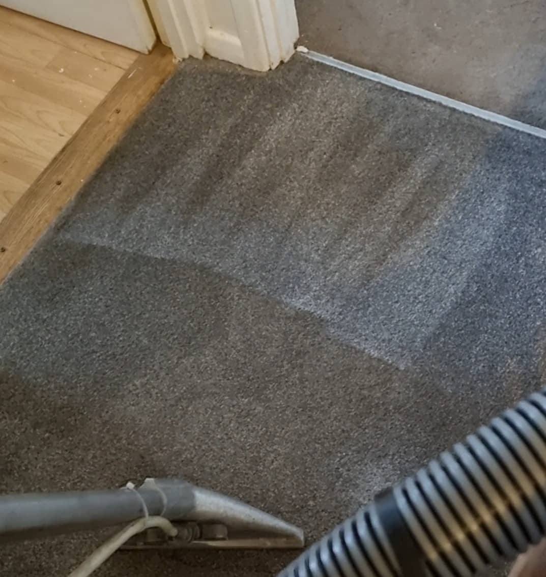 Cropped Carpet